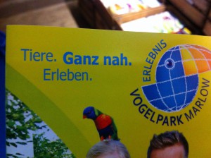Ein Vogelpark: Tiere. Ganz nah. Erleben. 